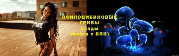 стаф Белокуриха