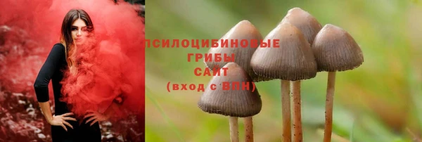 стаф Белокуриха