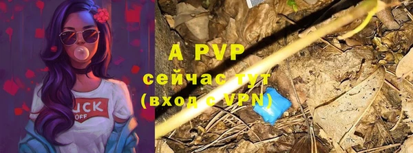стаф Белокуриха