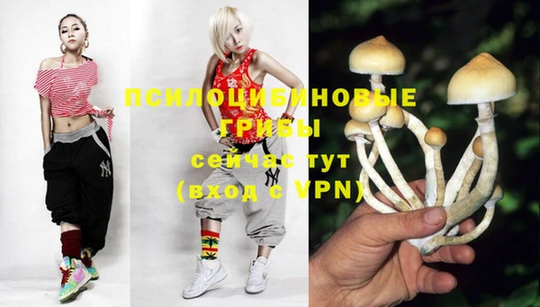 стаф Белокуриха